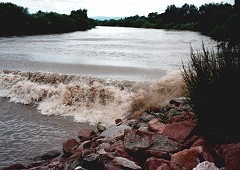 The Severn tidal river bore – the largest and most famous river bore in the UK